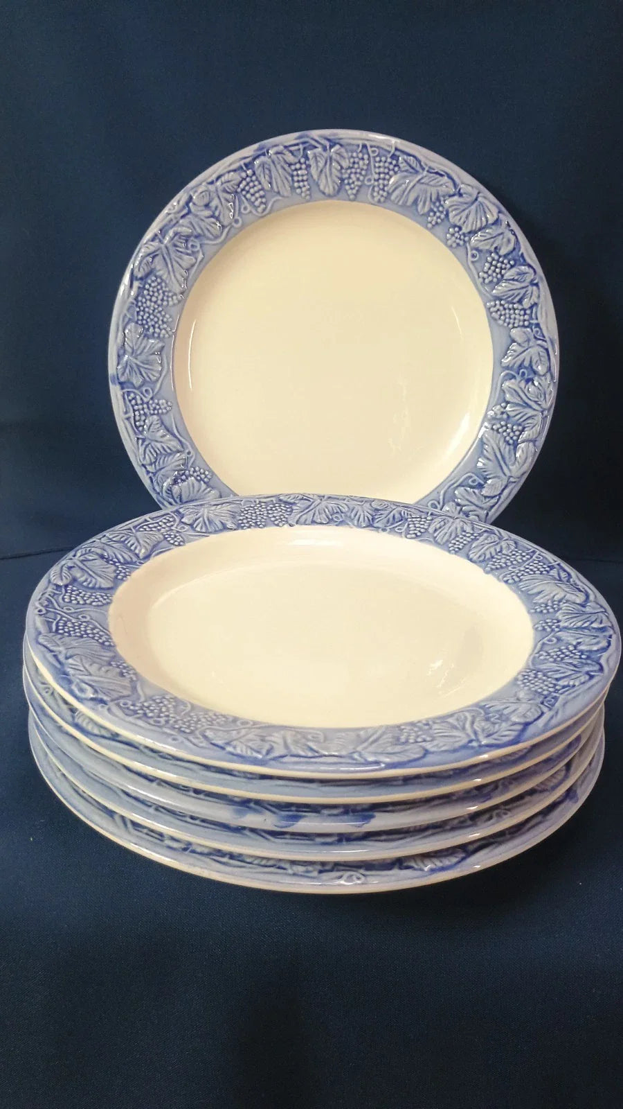 Set Of 6 Tre Ci 10" Plates Made In Italy Blue & White Embossed Grapevine Design